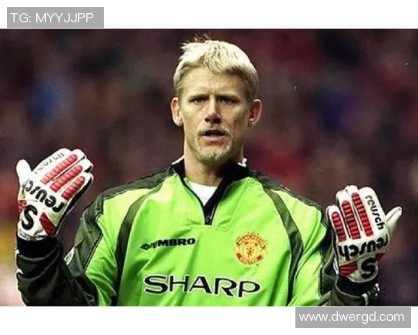 FIFA足球世界球星：巅峰荣耀与传奇岁月