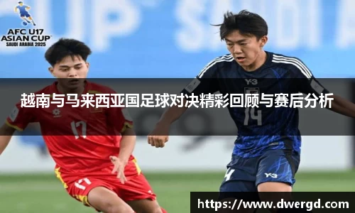 越南与马来西亚国足球对决精彩回顾与赛后分析