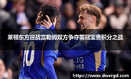 莱顿东方迎战富勒姆双方争夺英冠宝贵积分之战