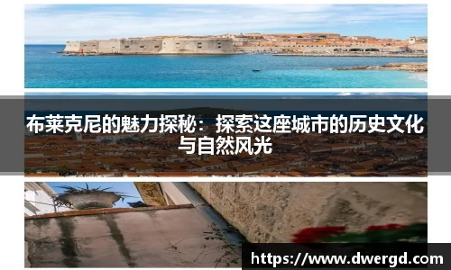 布莱克尼的魅力探秘：探索这座城市的历史文化与自然风光